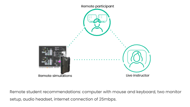 remote training infographic